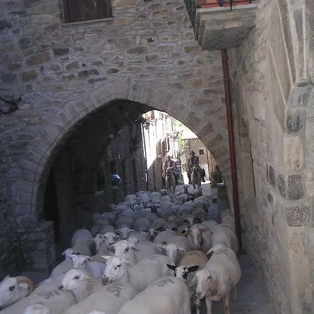 El Prau De Vidal I Apartman *