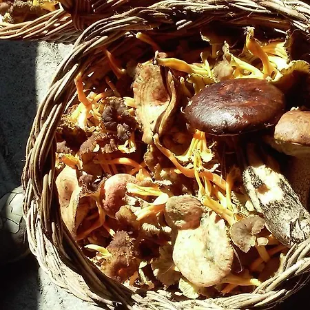 Apartman El Prau De Vidal I