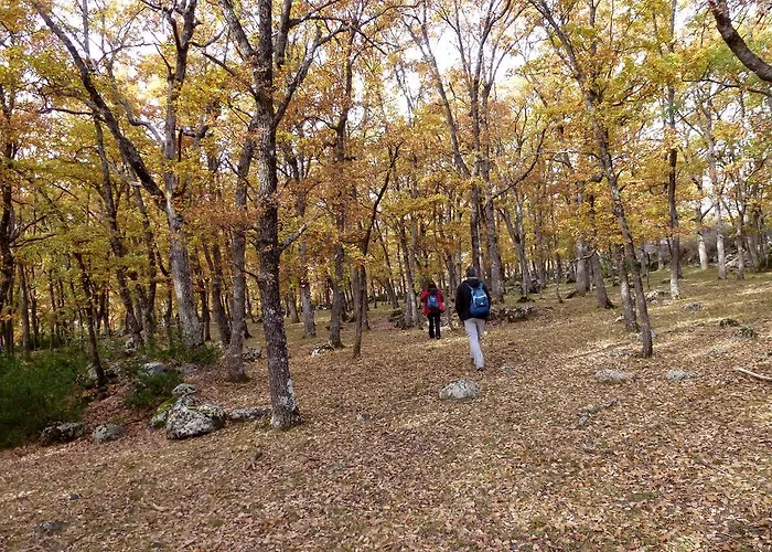 El Prau De Vidal I La Puebla de Roda