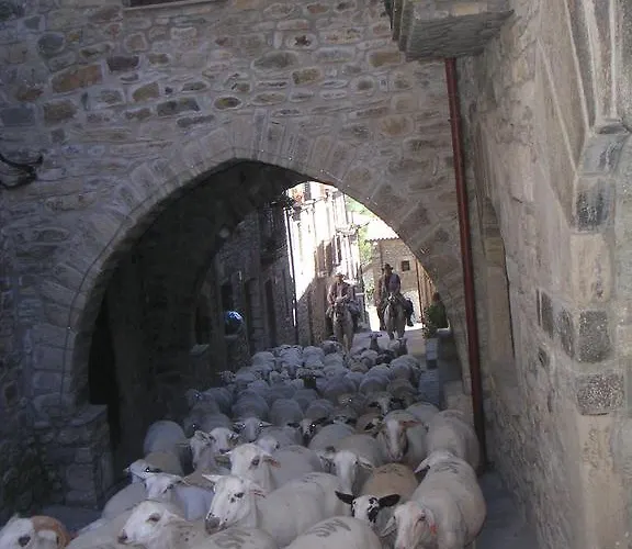 El Prau De Vidal I Apartamento *