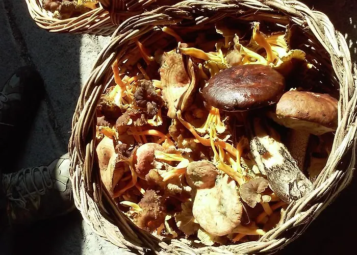 Apartamento El Prau De Vidal I